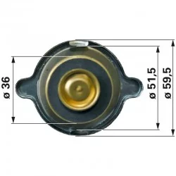 TAPPO RADIATORE PER MASSEY FERGUSON 3475308M1
