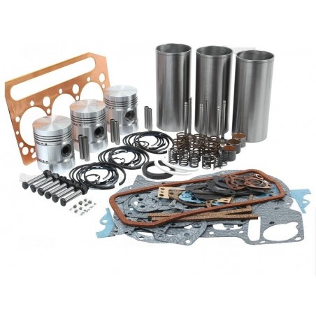 KIT DE REVISION MOTEUR AD3.152 (5 SEGMENTS) KIT DE REVISION MOTEUR AD3.152 (5 SEGMENTS)