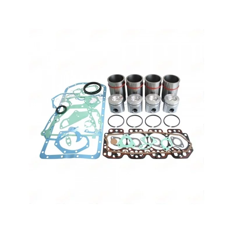 KIT DE REVISION MOTEUR 4239D