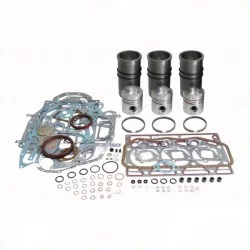 CASE D179 ENGINE OVERHAUL KIT
