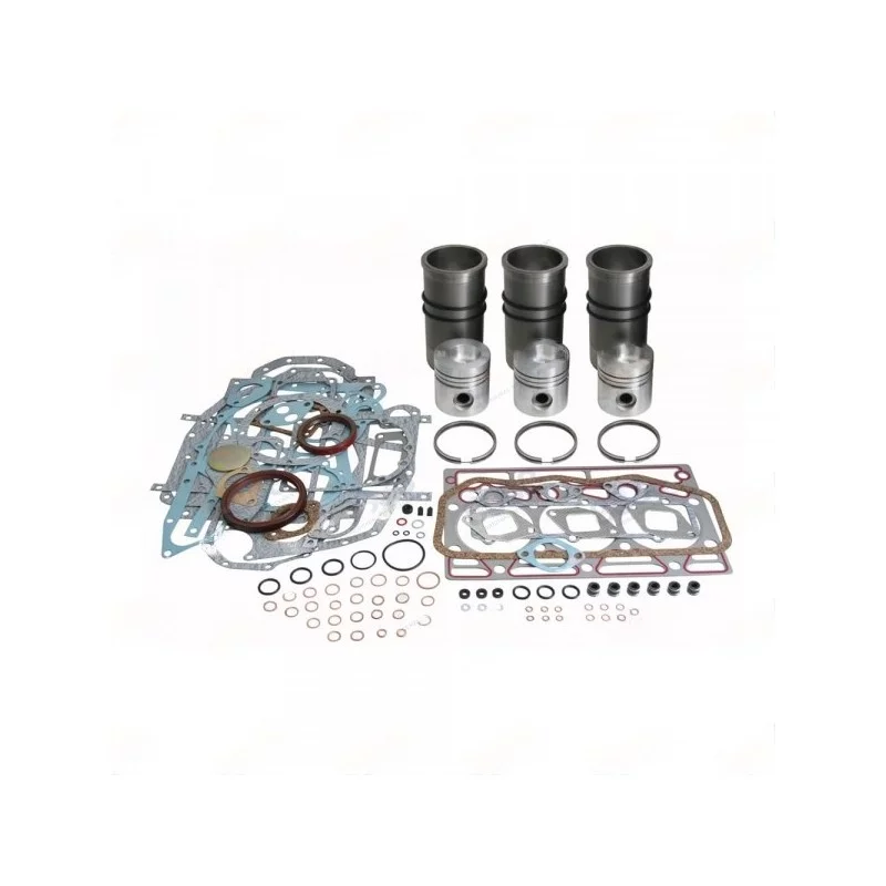 KIT DE REVISION MOTEUR CASE D179