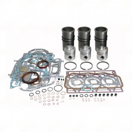 KIT DE REVISION MOTEUR CASE D179 KIT DE REVISION MOTEUR CASE D179
