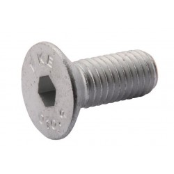 VIS TETE FRAISEE PORTE COUTEAU M10 X 25 - 10,9 904045.3 - 009040453 