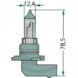 HALOGEN BULB HB3 12V / 60W