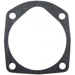 MWM WATER PUMP GASKET