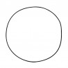 O-RING