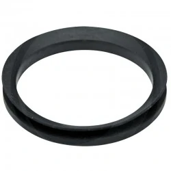 BAGUE V