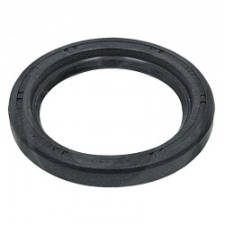ANILLO DE LABIO