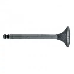 EXHAUST VALVE