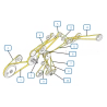 COURROIES COTE GAUCHE MOISSONNEUSE BATTEUSE NEW HOLLAND CX8030