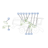 COURROIES COTE DROITEMOISSONNEUSE BATTEUSE CLAAS LEXION 430 II