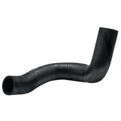 LOWER HOSE