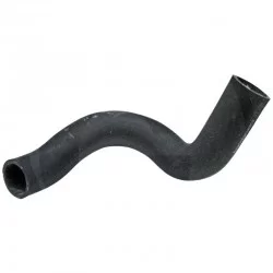 LOWER HOSE