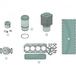 KIT DE REVISION MOTEUR 4219D