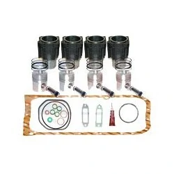 KIT DE REVISION MOTEUR F4L913