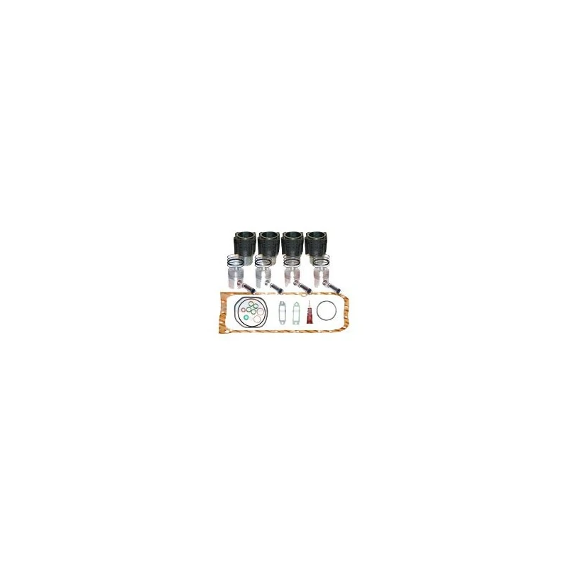 KIT DE REVISION MOTEUR F4L913