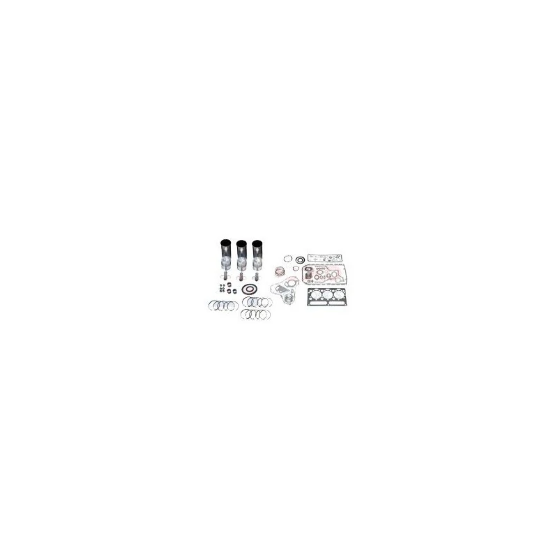 KIT DE REVISION MOTEUR D226-3 - MWM