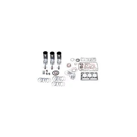 KIT DE REVISION MOTEUR D226-3 - MWM KIT DE REVISION MOTEUR D226-3 - MWM