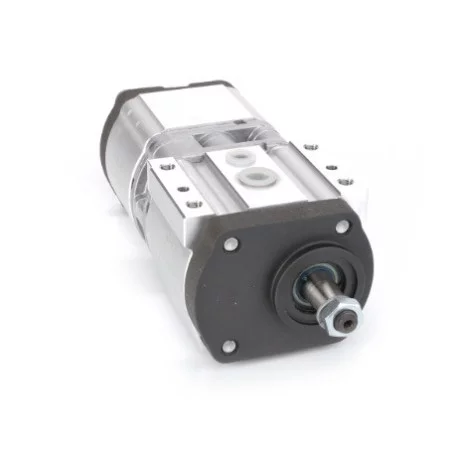 POMPE HYDRAULIQUE DOUBLE POUR MASSEY FERGUSON 19 + 11 CC POMPE HYDRAULIQUE DOUBLE POUR MASSEY FERGUSON 19 + 11 CC