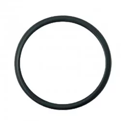 THERMOSTAT-O-RING