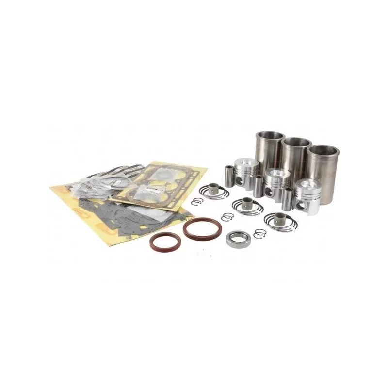 KIT REVISION MOTEUR