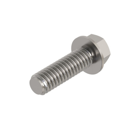 VIS SPECIALE M6 X 25 MM 
