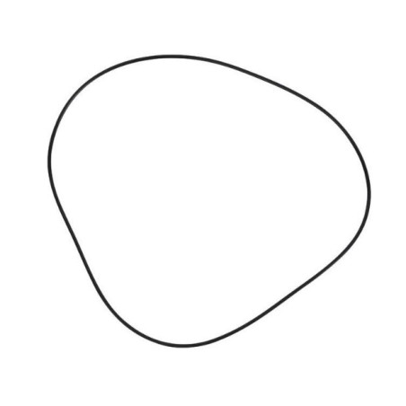 O-RING