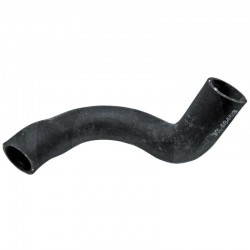 LOWER HOSE