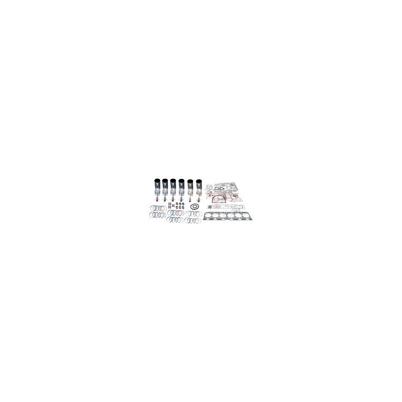 KIT DE REVISION MOTEUR TD226-B6 - MWM