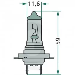 LAMPADINA ALOGENA H7 12V /55 W