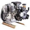 3-Diaphragm Motor Pump - APS41