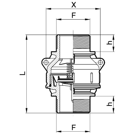 Foot valve with threaded connections