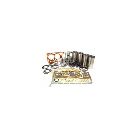 KIT REVISION MOTEUR POUR DAVID BROWN - ref: KRM8693 