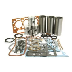 KIT REVISIONE MOTORE A3.152