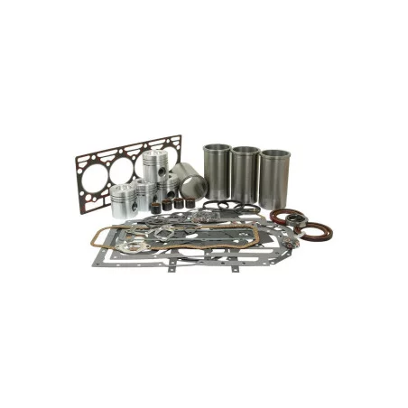 KIT DE REVISION MOTEUR D246