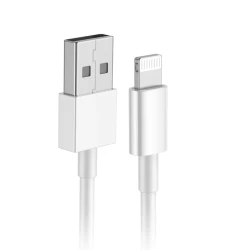CABLE USB A VERS LIGHNING POUR IPHONE - 2A - 100 CM 