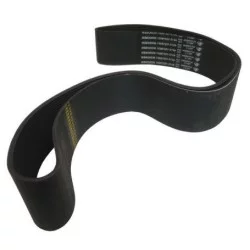 COURROIE DE TURBINE POUR MONOSEM L1168 MM 540 tr/min 