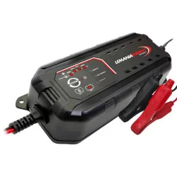INTELLIGENT BATTERY CHARGER 12/24V 225AH