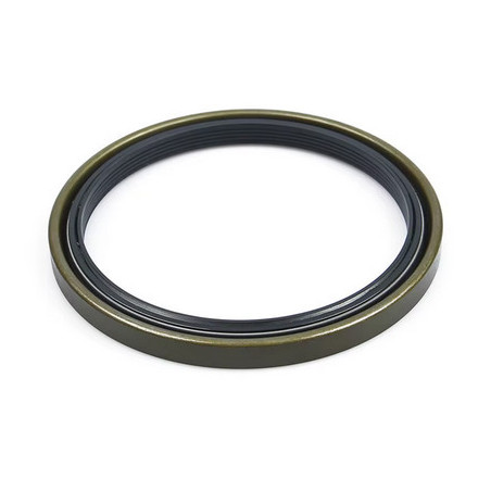 ANELLO STAGNO