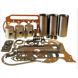 AD3.152 KIT REVISIONE MOTORE (4 SEGMENTI)