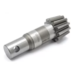 PINION