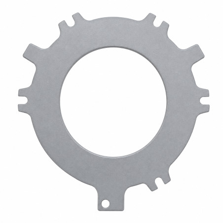 INTERMEDIATE DISC 139189C1 FOR CASE