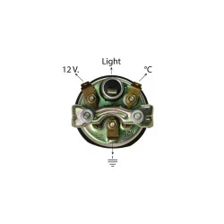 TEMPERATURE INDICATOR