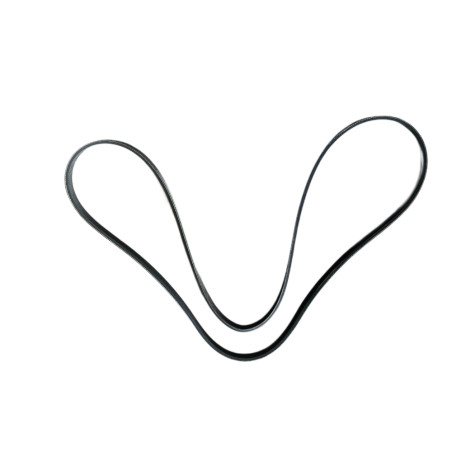 COURROIE PLATE POLY-V - 1143 MM