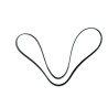 COURROIE PLATE POLY-V - 1143 MM