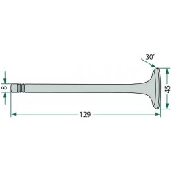 VALVOLA DI ASPIRAZIONE CASE