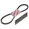 CASE TOOTHED BELT