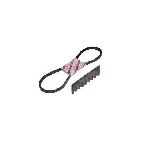 COURROIE CRANTEE CASE COURROIE CRANTEE CASE