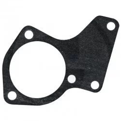 THERMOSTAT GASKET