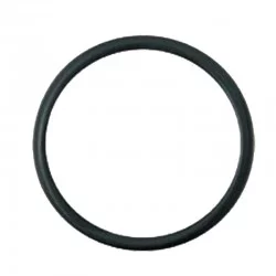THERMOSTAT-O-RING